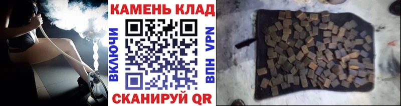 где можно купить   Судак  ГАШ Premium 