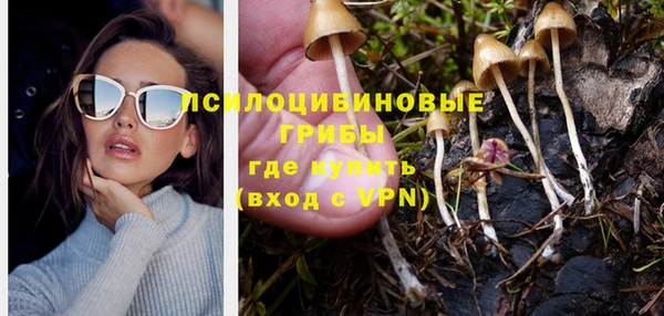 СК Осинники