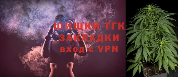 СК Осинники
