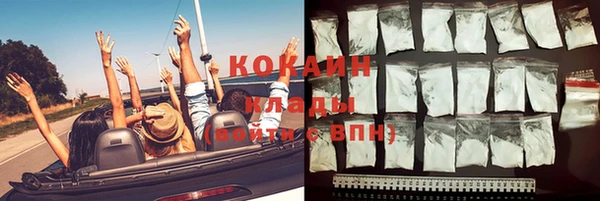 дурь Арсеньев