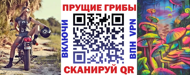 Галлюциногенные грибы мухоморы  Судак 